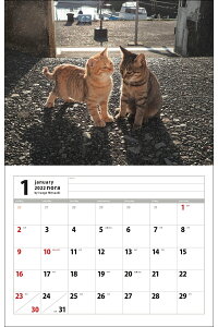楽天ブックス 22猫カレンダー のら 岩合光昭 本 楽天ブックス 22猫カレンダー のら 岩合光昭 本